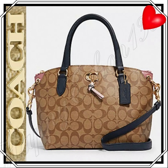 Coach Remi Mia Ally Satchel Skylar Hobo Shoulder - Picture 1 of 16